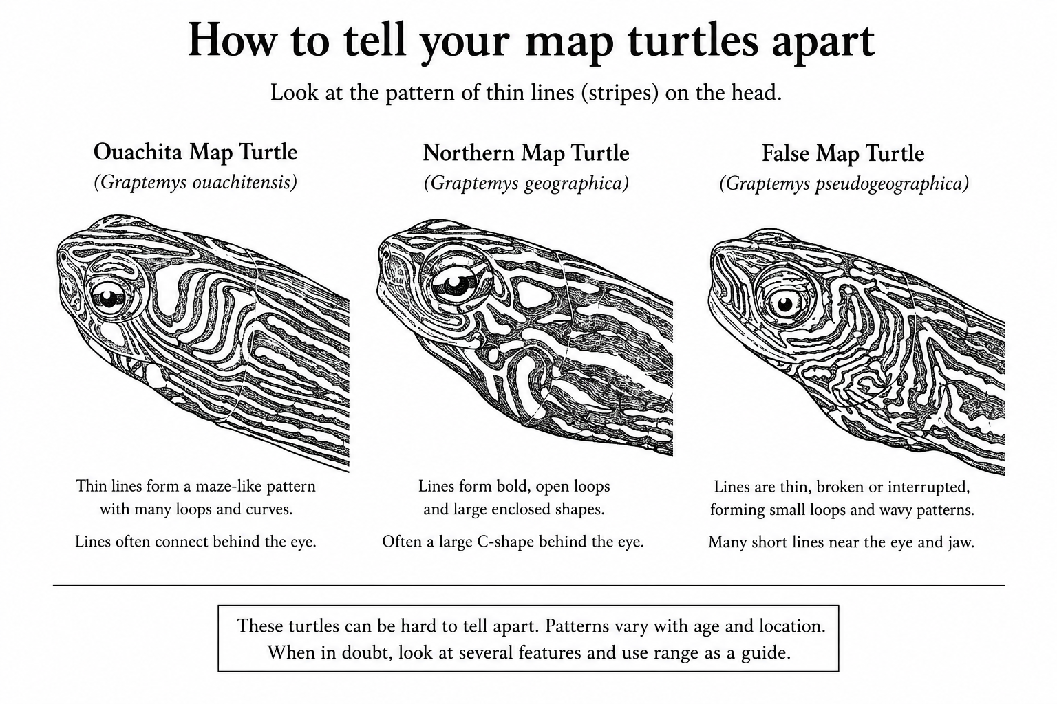 ID diagram