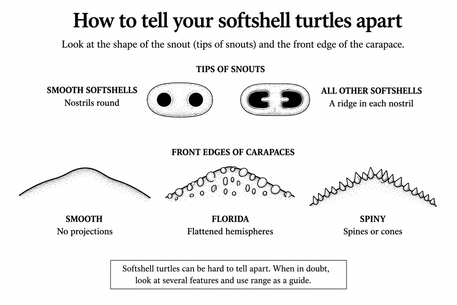ID diagram